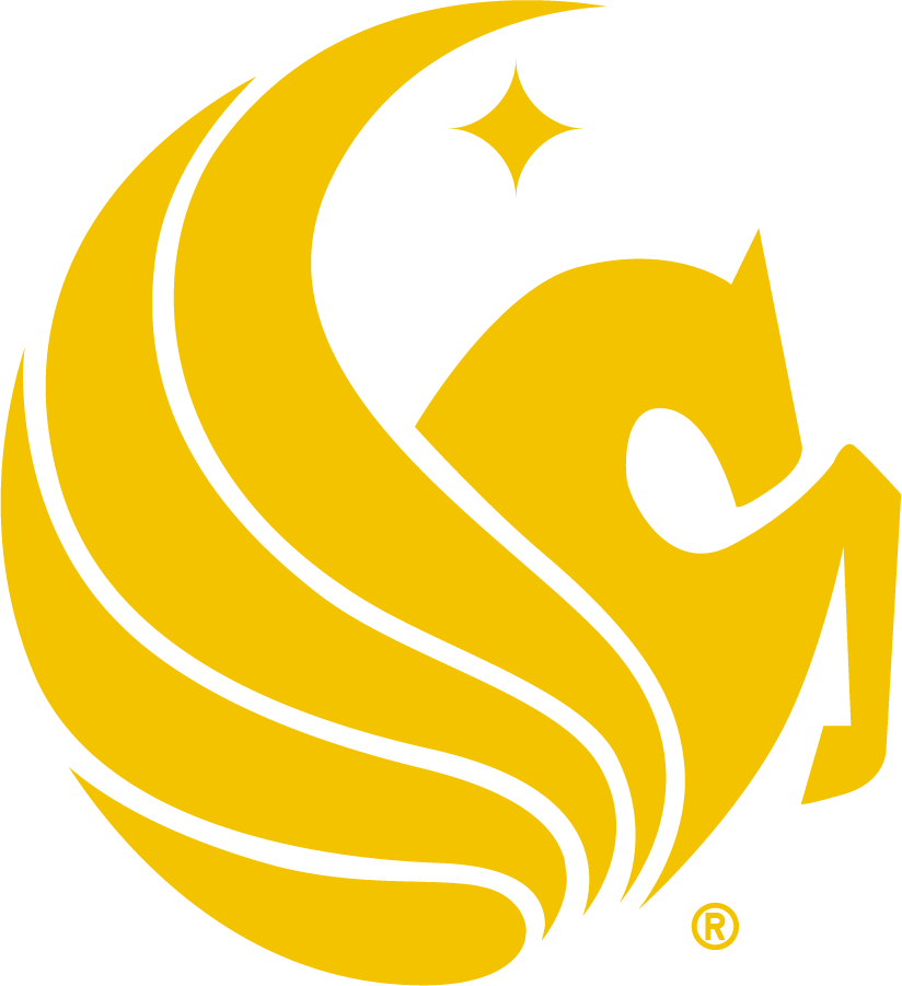 Central Florida Knights 2017-Pres Misc Logo diy iron on heat transfer